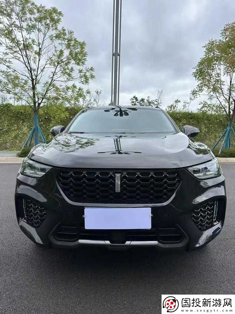 WeyVV5-國(guó)產(chǎn)-SUV-視頻：暢享卓越駕駛體驗(yàn)
