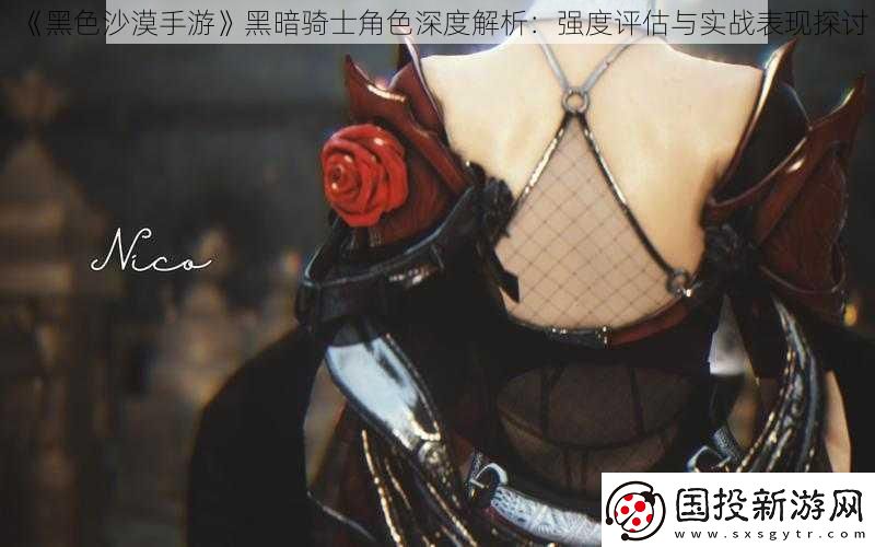 黑色沙漠手游黑暗騎士角色深度解析：強(qiáng)度評(píng)估與實(shí)戰(zhàn)表現(xiàn)探討