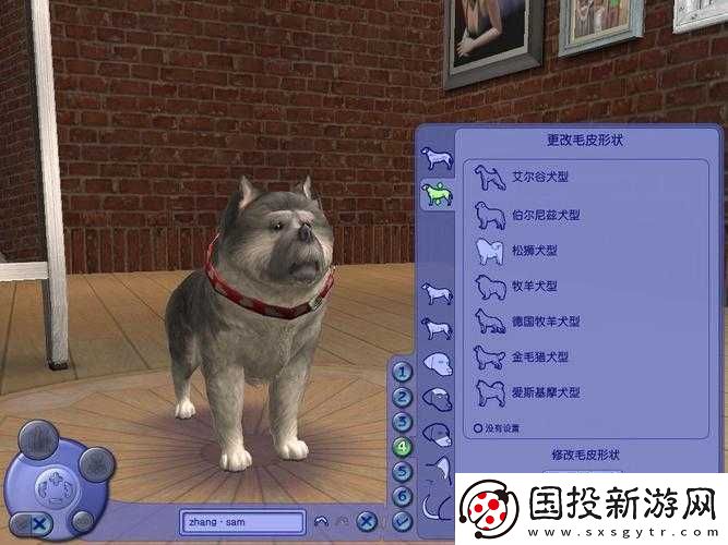 模擬人生-3-中如何成功抓取寵物-有哪些技巧和注意事項需知曉