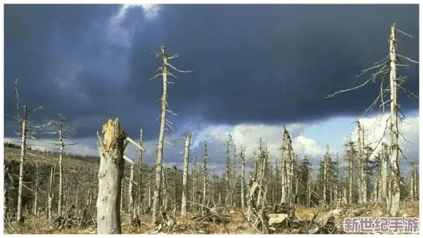 探索寵物石頭的隱秘弱點：水、酸雨與劇烈溫差——三大自然天敵全解析
