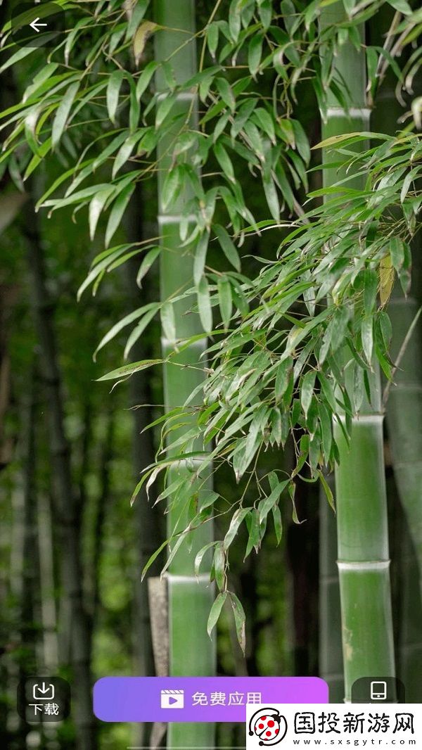 壁紙多多免費(fèi)app,壁紙多多免費(fèi)軟件 壁紙多多免費(fèi)app,壁紙多多免費(fèi)軟件