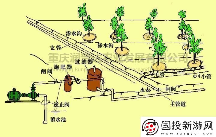 蘇軟軟的灌溉奇遇：水流的魔術-農田的狂歡