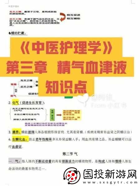 精二和精三有何不同