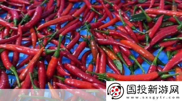 午煮香蕉小辣椒被友爆料下架了：午煮香蕉小辣椒下架背后的真相揭曉！