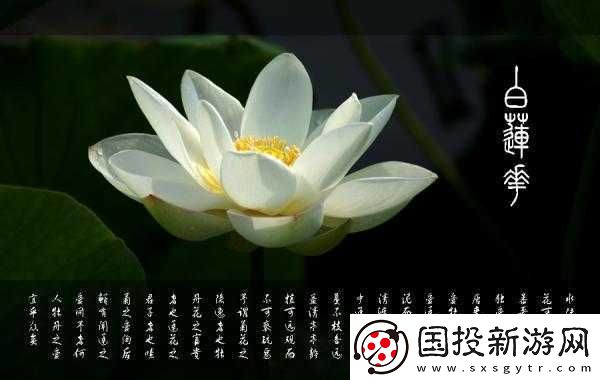 女人晚上蓮花開放害處大揭秘