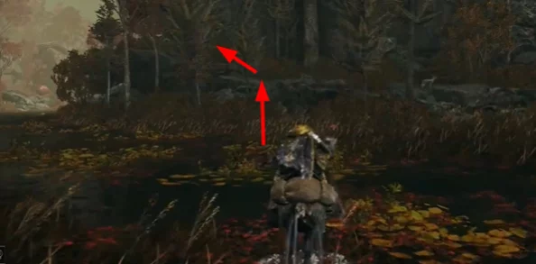 比較艾爾登法環中火焰與黑焰的威力