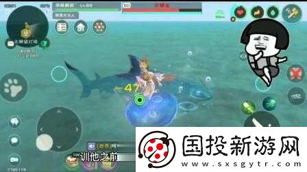 創造與魔法灰鯖鯊幾級可以抓-這個問題你需要知道