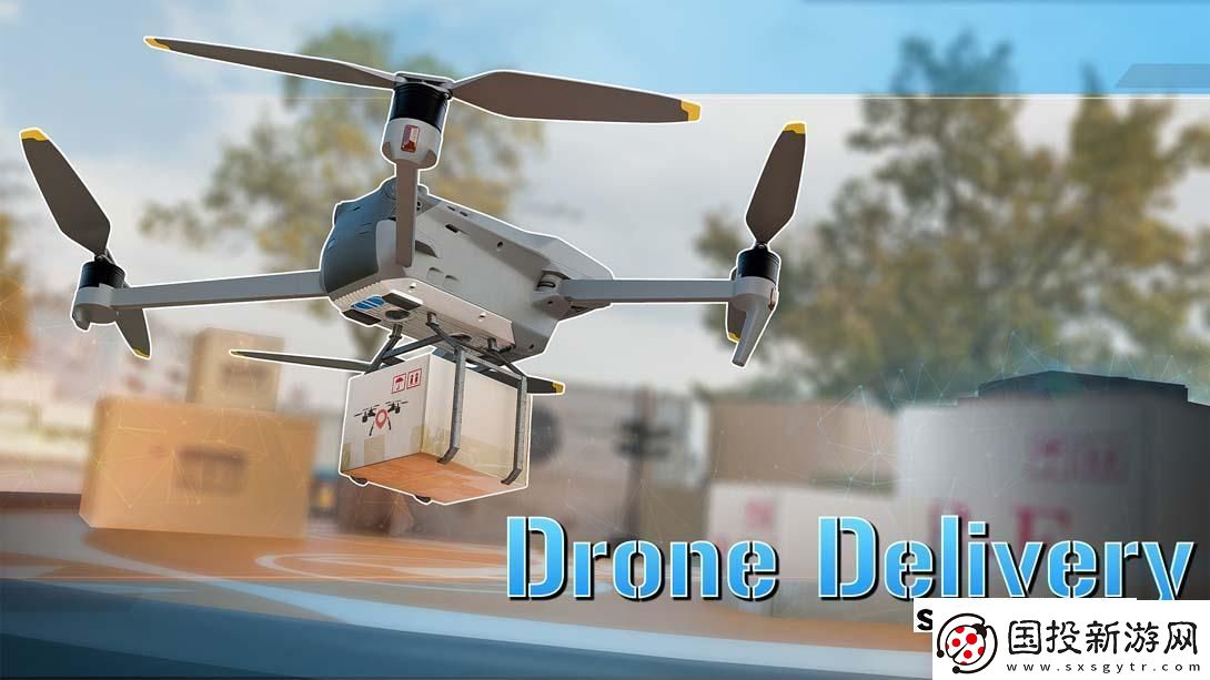 【美版】無人機送貨模擬器-.Drone-Delivery-英語