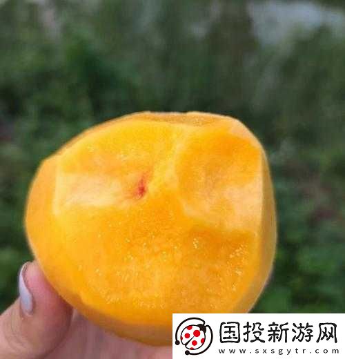 一曲二曲三曲水蜜桃的獨特魅力