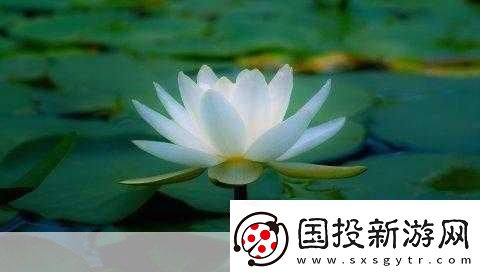女人晚上蓮花開的害處：1.-女性夜間蓮花開：對(duì)健康的潛在影響