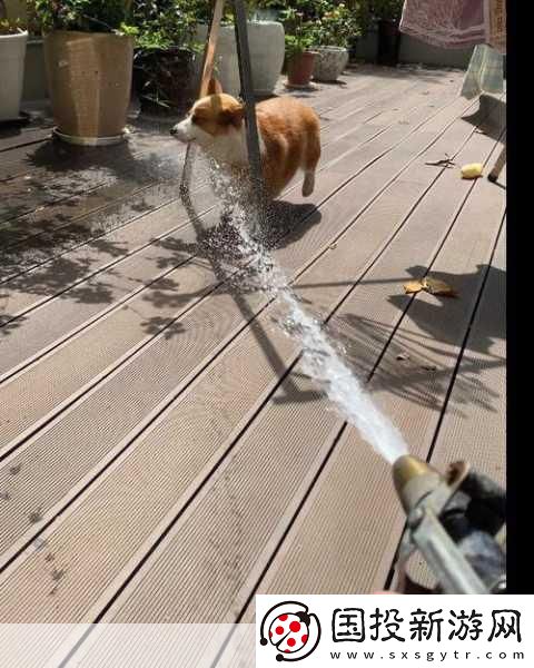 晚上聽到滋水聲在父母房間：夜深人靜-滋水聲引發的思緒