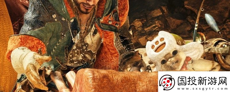 怪物獵人：荒野希望套裝效果是什么