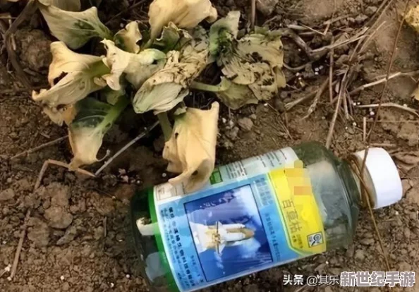 探索致命解藥存檔點