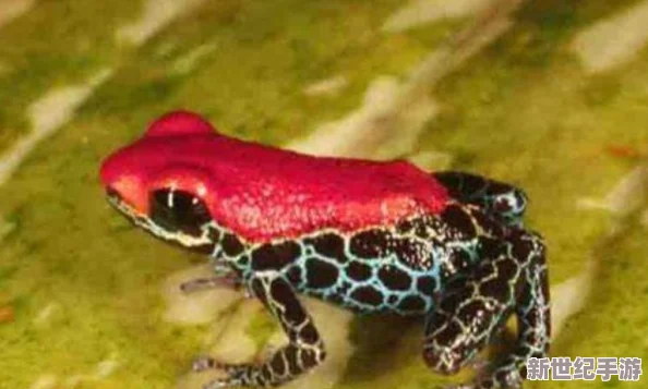 探索致命解藥存檔點