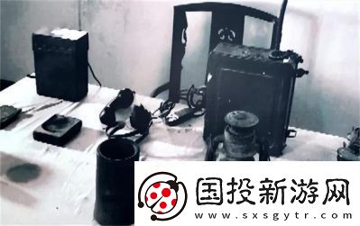 女婿槍槍有力：揭示背后的動力秘密