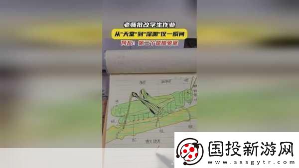 66m66成長模式：探索自我突破的新路徑