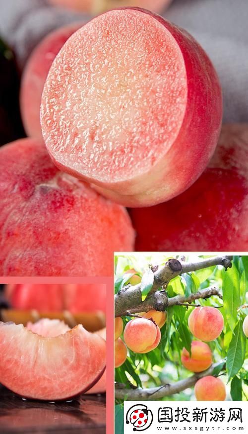 桃醉意國界的新晉紅！