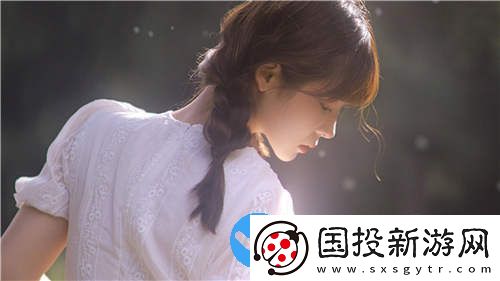 精品中文字體視頻經(jīng)典版