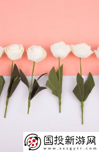 三國單機版高清在線播放